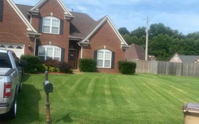 Photo of Kimberly B.'s yard after getting tree care in Cordova, TN