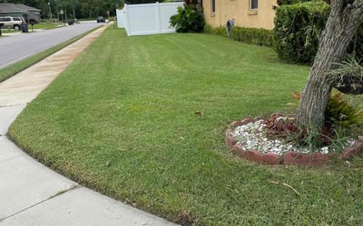 Photo of Pat C.'s yard after getting lawn care in Hopewell Junction, NY