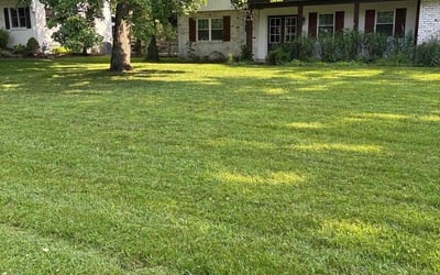 Photo of Michael Y.'s yard after getting lawn care in New Richmond, OH