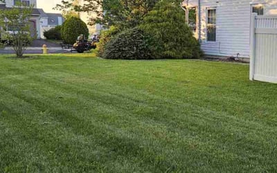 Photo of Nick G.'s yard after getting lawn care in Bordentown, NJ
