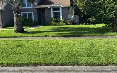 Photo of Curtiss P.'s yard after getting lawn care in Millsboro, DE