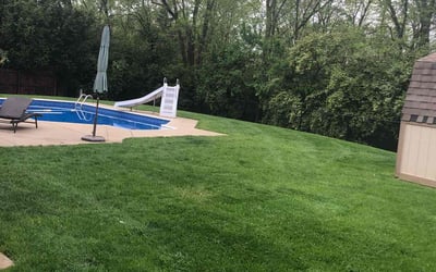 Photo of Robin H.'s yard after getting lawn care in Xenia, OH