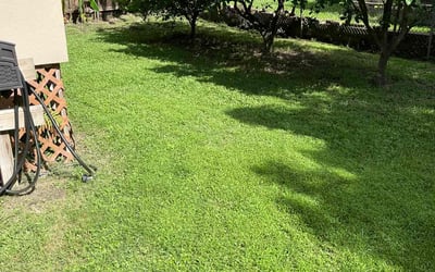 Photo of Kait T.'s yard after getting lawn care in Spring, TX
