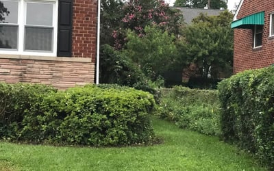 Photo of Jim D.'s yard after getting tree care in Plainfield, IL