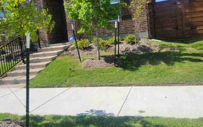 Photo of Andy R.'s yard after getting tree care in Mesquite, TX