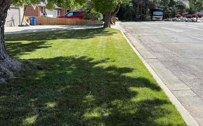 Photo of Steve M.'s yard after getting lawn care in Pittston, PA
