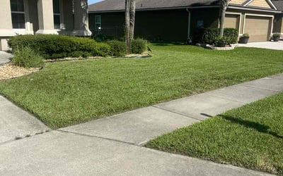 Photo of Christa V.'s yard after getting lawn care in Bethel, CT