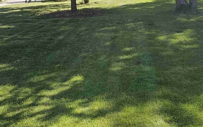 Photo of Sharyne K.'s yard after getting lawn care in New Berlin, WI