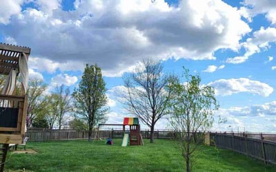 Photo of Scotty G.'s yard after getting lawn care in Lawson, MO
