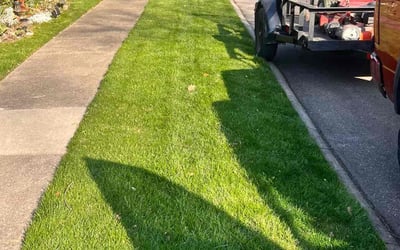 Photo of Maria V.'s yard after getting lawn care in Beavercreek, OH