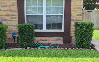Photo of Min T.'s yard after getting lawn care in Dublin, CA