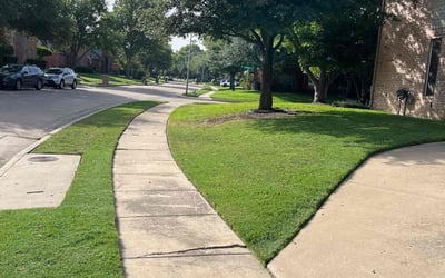 Photo of Curtis C.'s yard after getting lawn care in Keller, TX