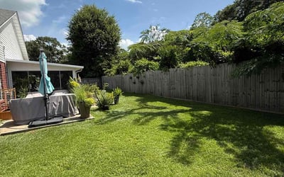 Photo of Debbie J.'s yard after getting lawn care in Pace, FL