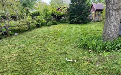 Photo of Lora B.'s yard after getting lawn care in Saint Martinville, LA
