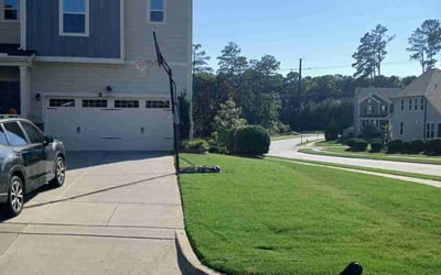 Photo of Jami D.'s yard after getting lawn care in Brighton, MA