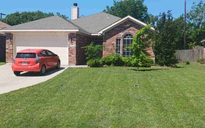 Photo of Anne P.'s yard after getting lawn care in McKinney, TX