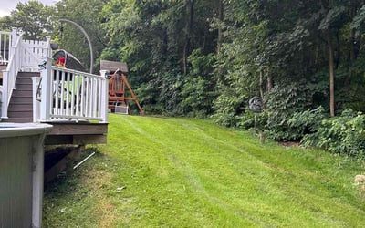 Photo of Alex H.'s yard after getting lawn care in Depew, NY