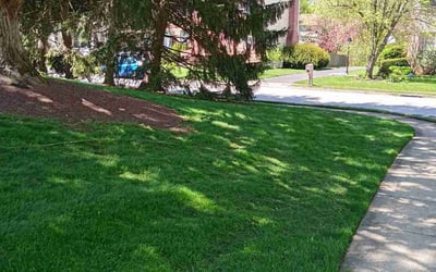 Photo of Jill R.'s yard after getting lawn care in Dillsburg, PA