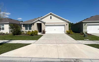 Photo of Michelle R.'s yard after getting lawn care in Lakeland, FL
