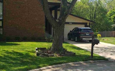 Photo of Bob S.'s yard after getting lawn care in Crestwood, IL