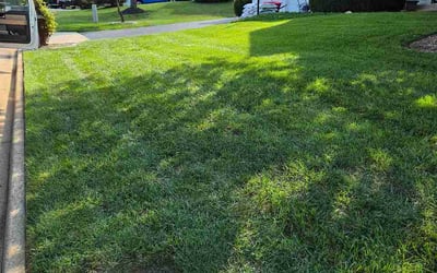 Photo of Jaime K.'s yard after getting lawn care in Sewickley, PA
