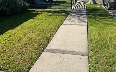 Photo of Tracey W.'s yard after getting lawn care in South Pasadena, CA