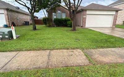 Photo of Robin D.'s yard after getting lawn care in San Pablo, CA