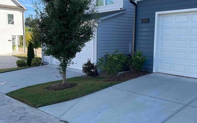 Photo of Sharolyn G.'s yard after getting lawn care in Macon, GA