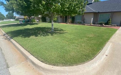Photo of Kenneth U.'s yard after getting lawn care in Richmond, TX