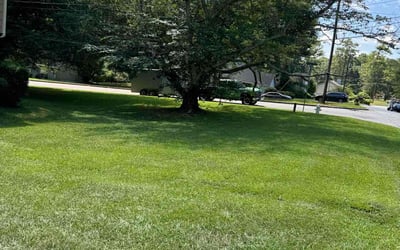 Photo of Susan A.'s yard after getting lawn care in Coatesville, PA