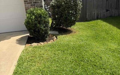 Photo of Adrienne H.'s yard after getting lawn care in Yulee, FL