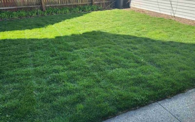 Photo of Deborah B.'s yard after getting lawn care in Chatham, NJ
