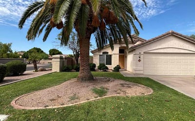 Photo of Grace R.'s yard after getting lawn care in Gilbert, AZ