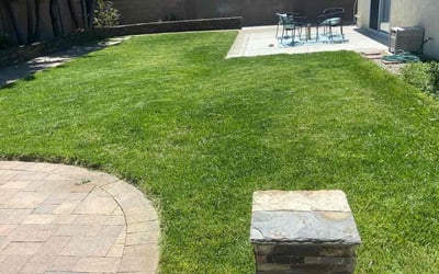 Photo of James B.'s yard after getting lawn care in Huntington Beach, CA