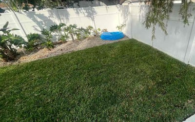 Photo of Cynthia G.'s yard after getting lawn care in Clackamas, OR