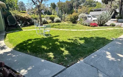 Photo of Brenda F.'s yard after getting lawn care in Altadena, CA