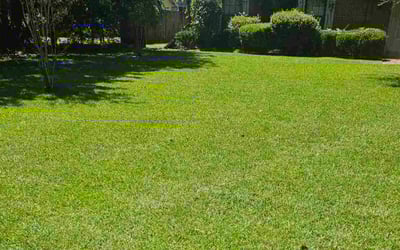 Photo of Erin P.'s yard after getting lawn care in Rockledge, FL