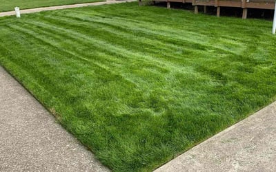 Photo of Gay C.'s yard after getting lawn care in Hinckley, OH