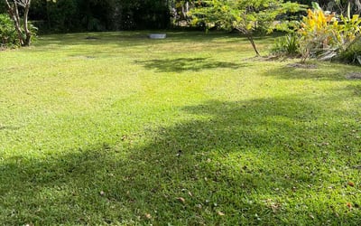 Photo of Erin O.'s yard after getting lawn care in Jacksonville, FL