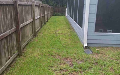 Photo of Willie J.'s yard after getting lawn care in Blythe, CA