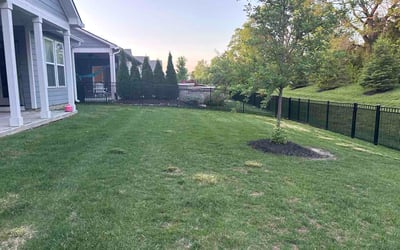 Photo of John P.'s yard after getting lawn care in Fairport, NY
