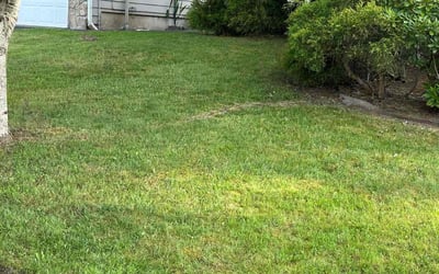 Photo of Aqueelah W.'s yard after getting lawn care in Poulsbo, WA