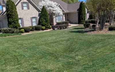 Photo of Randall H.'s yard after getting lawn care in Summerfield, NC