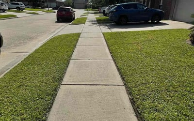 Photo of Charlie R.'s yard after getting lawn care in Cartersville, GA