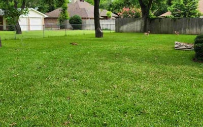 Photo of Zizur I.'s yard after getting lawn care in Granbury, TX