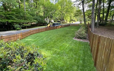 Photo of James S.'s yard after getting lawn care in Mcdonough, GA