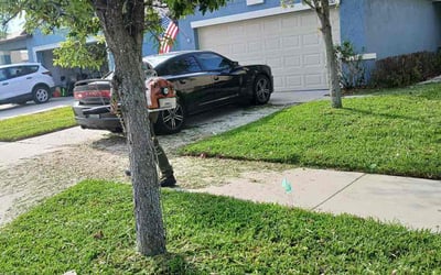 Photo of Robert A.'s yard after getting lawn care in Bristol, TN