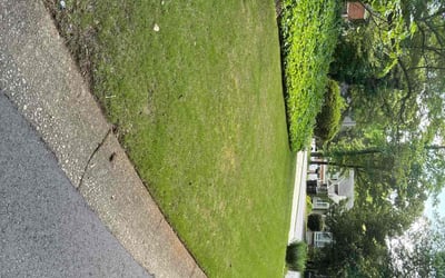 Photo of Karen R.'s yard after getting lawn care in Randolph, NJ