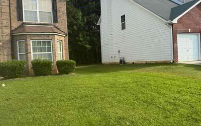Photo of Jeffery C.'s yard after getting lawn care in Sharpsburg, GA
