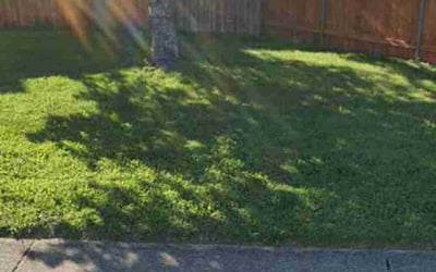 Photo of Christopher M.'s yard after getting lawn care in Washougal, WA